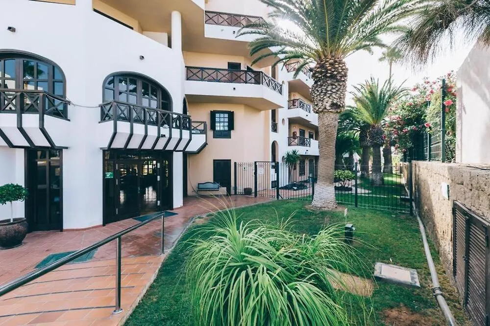 501.Serene Studio With Large Terrace And Pool سان ميغيل ذي أبونا شقة