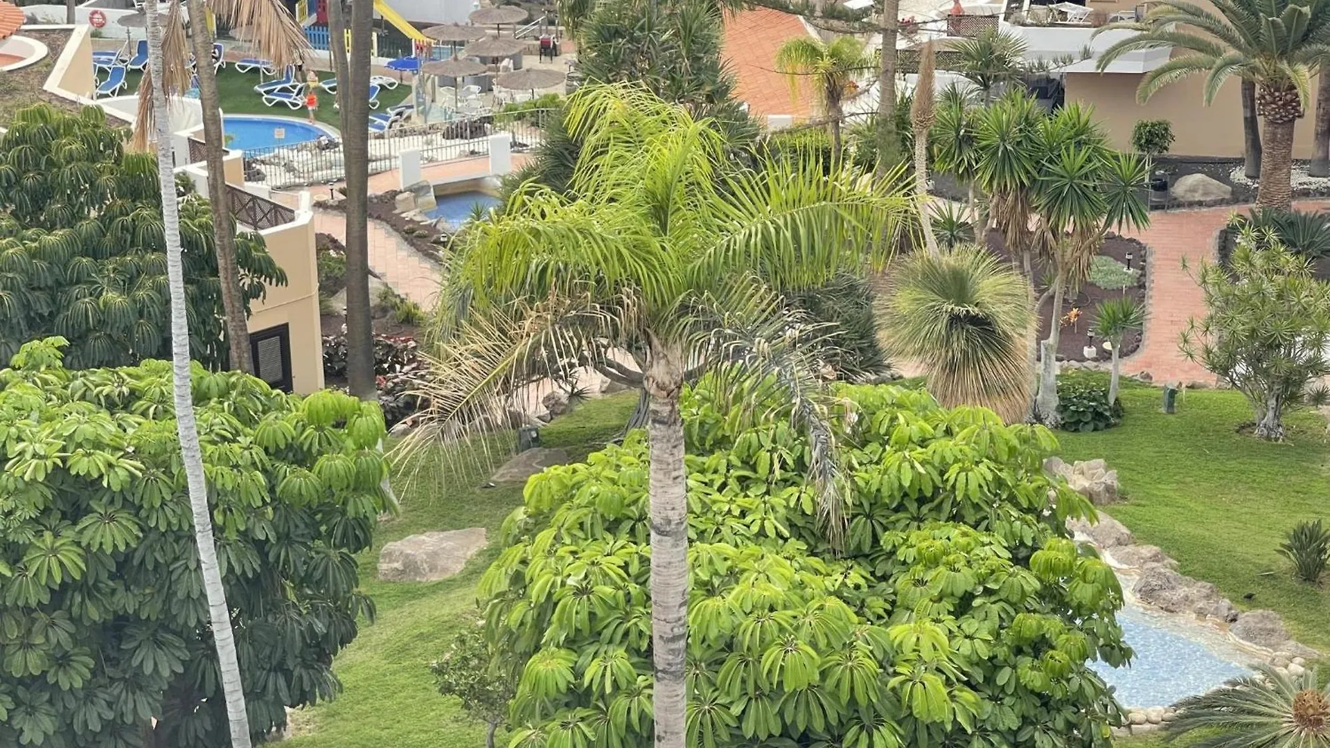 شقة 501.Serene Studio With Large Terrace And Pool سان ميغيل ذي أبونا